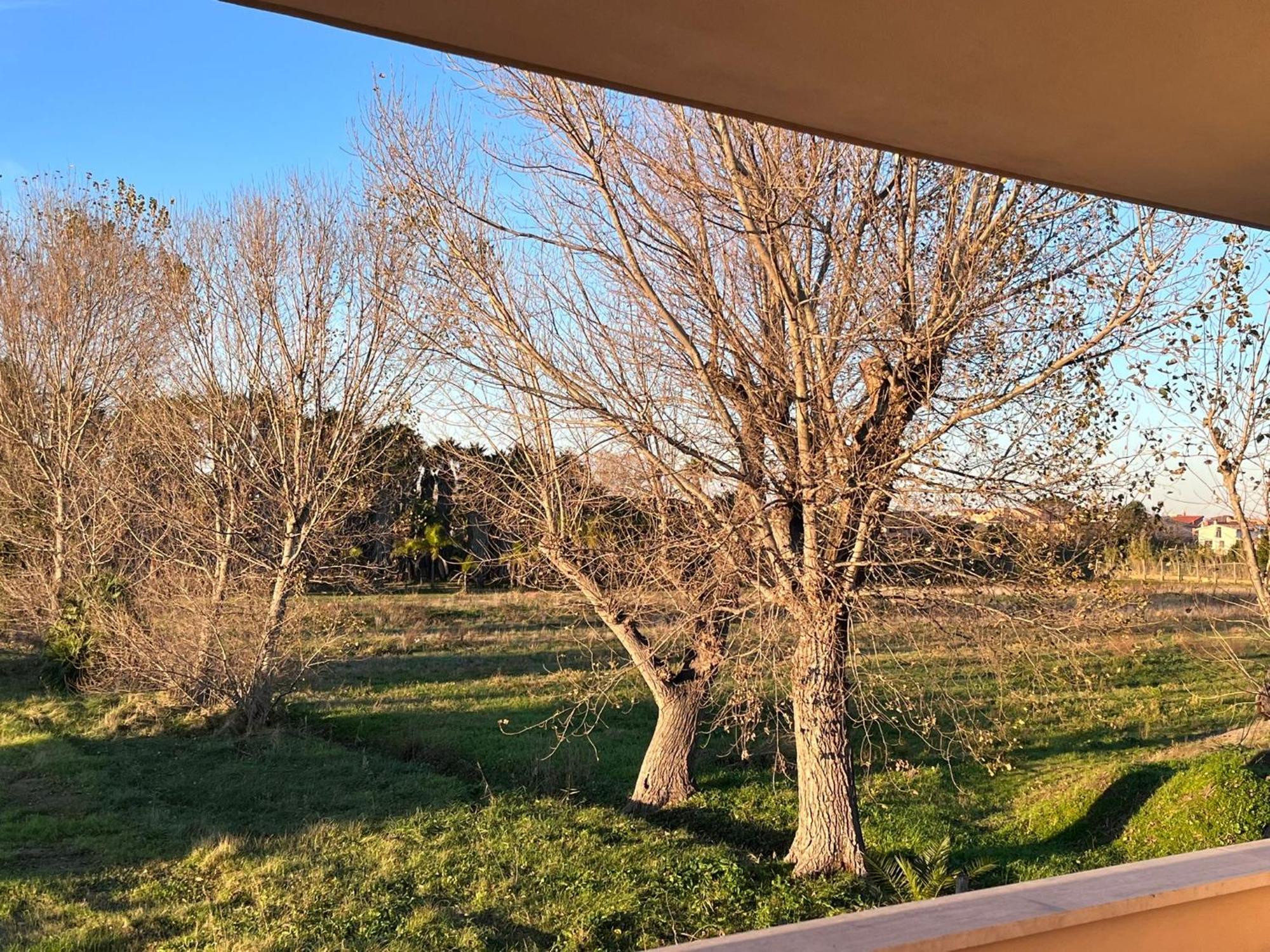 Lizzies Hus Appartement Fiumicino Buitenkant foto